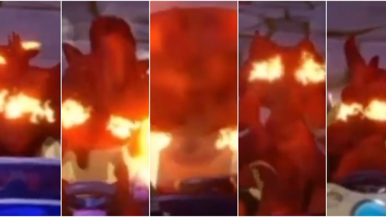 Crash Team Racing Nitro-Fueled All Characters Burning Interactions