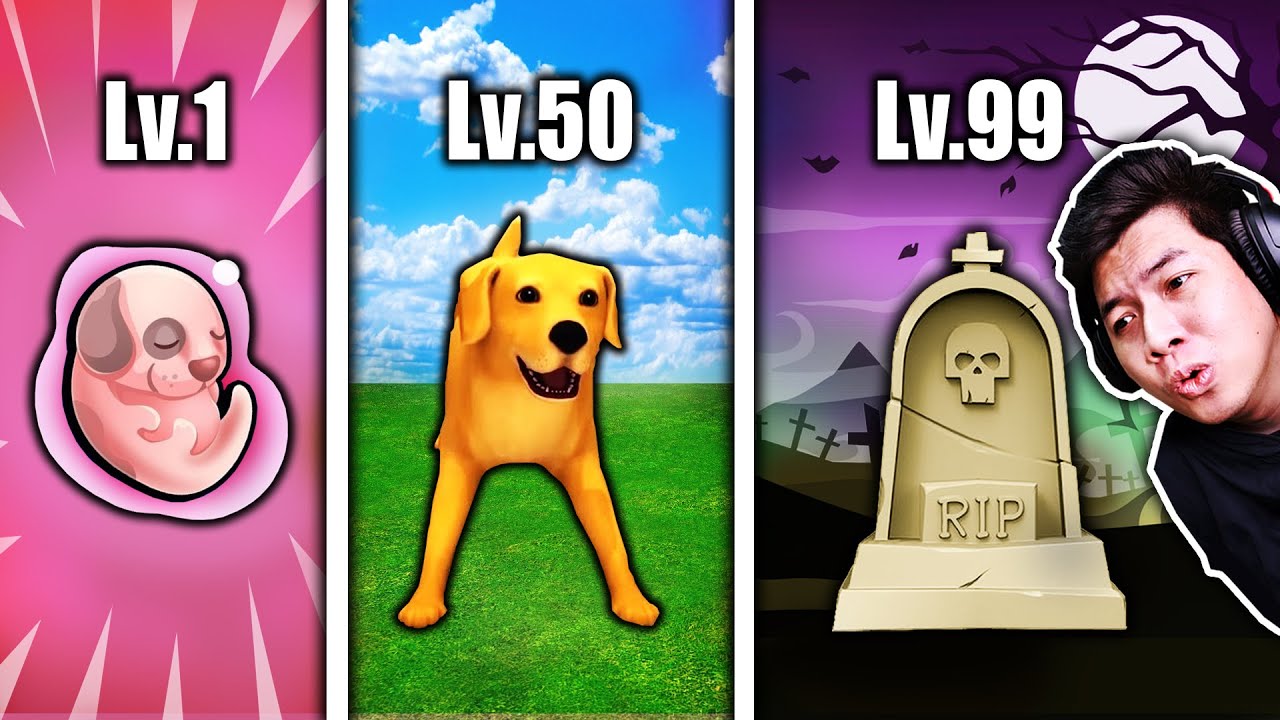 กำเนิดสุนัขเด็กจนโต!! 🐕