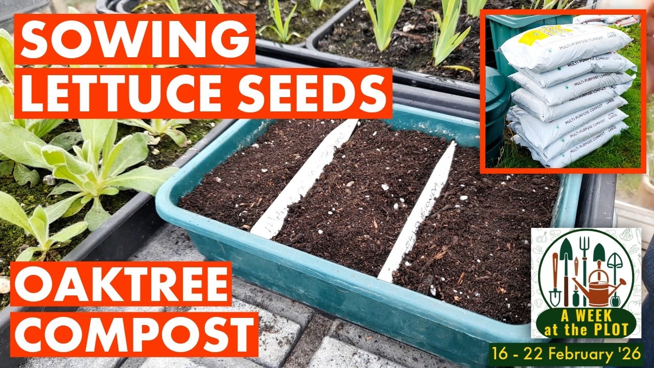 Oaktree Compost, Organic Chicken Manure Pellets & Sowing Lettuce Seeds