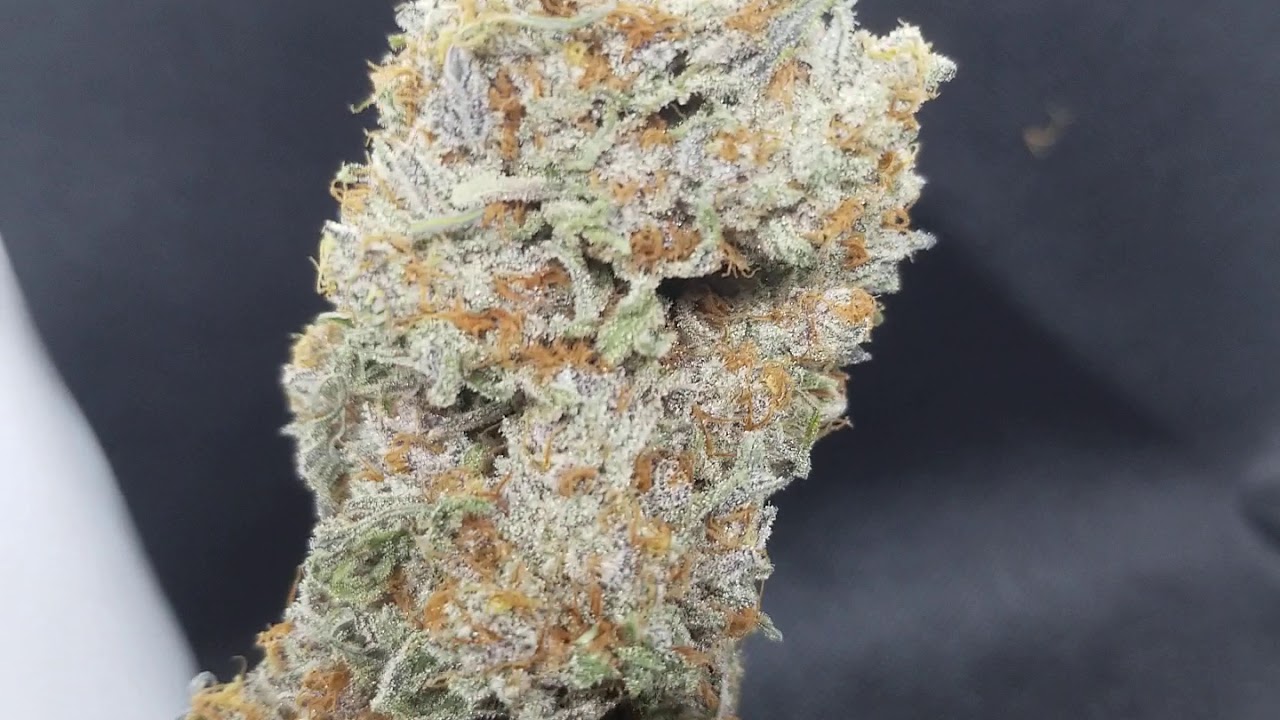 No-till grown slurricane ix