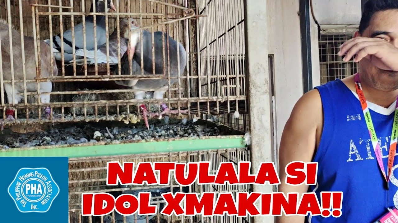 JANSSEN RELAX NI XMAKINA HUMATAW NA NAMAN SA KARERA!! ABANGAN SA PHA KAKAIBA