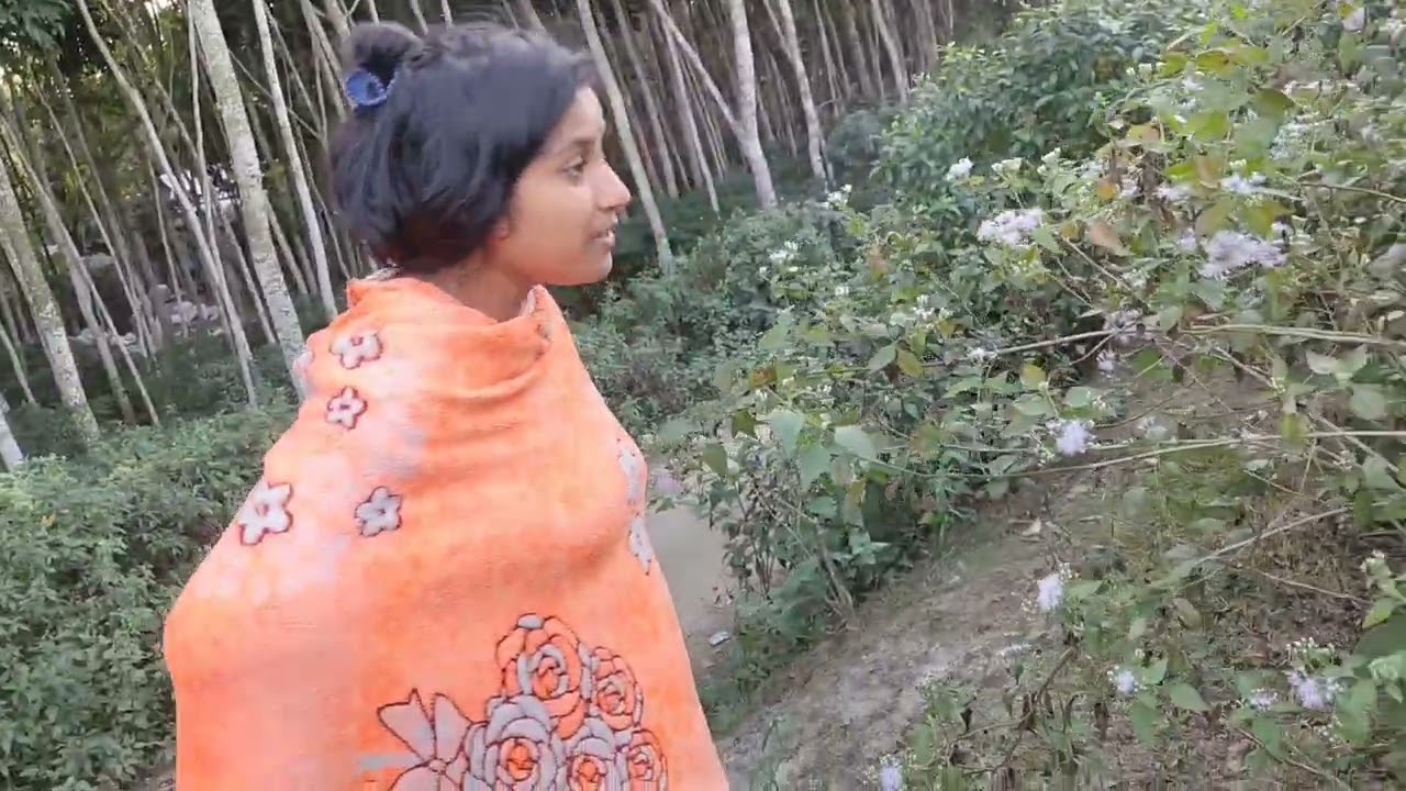 প্রচুর পরিমাণে বরই ধরেছে এই গাছটাতে।