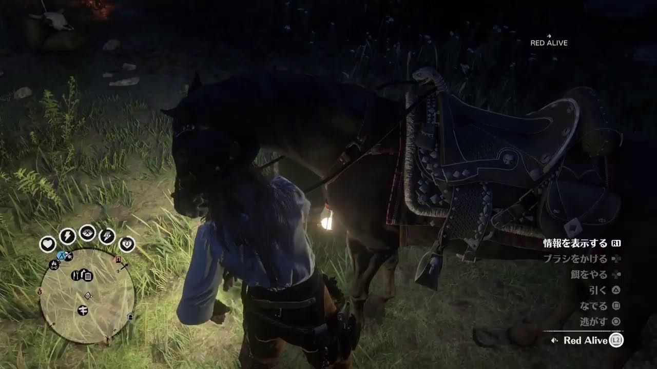 Ps5.RED DEAD Online [質問(可 2026/2/27 #01]