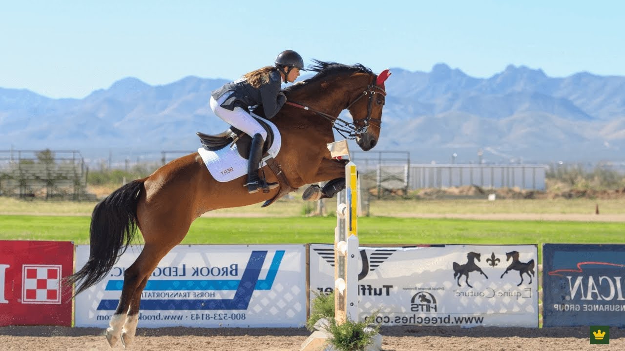 Steepledowns: A Thrilling Virtual Horse Racing Experience