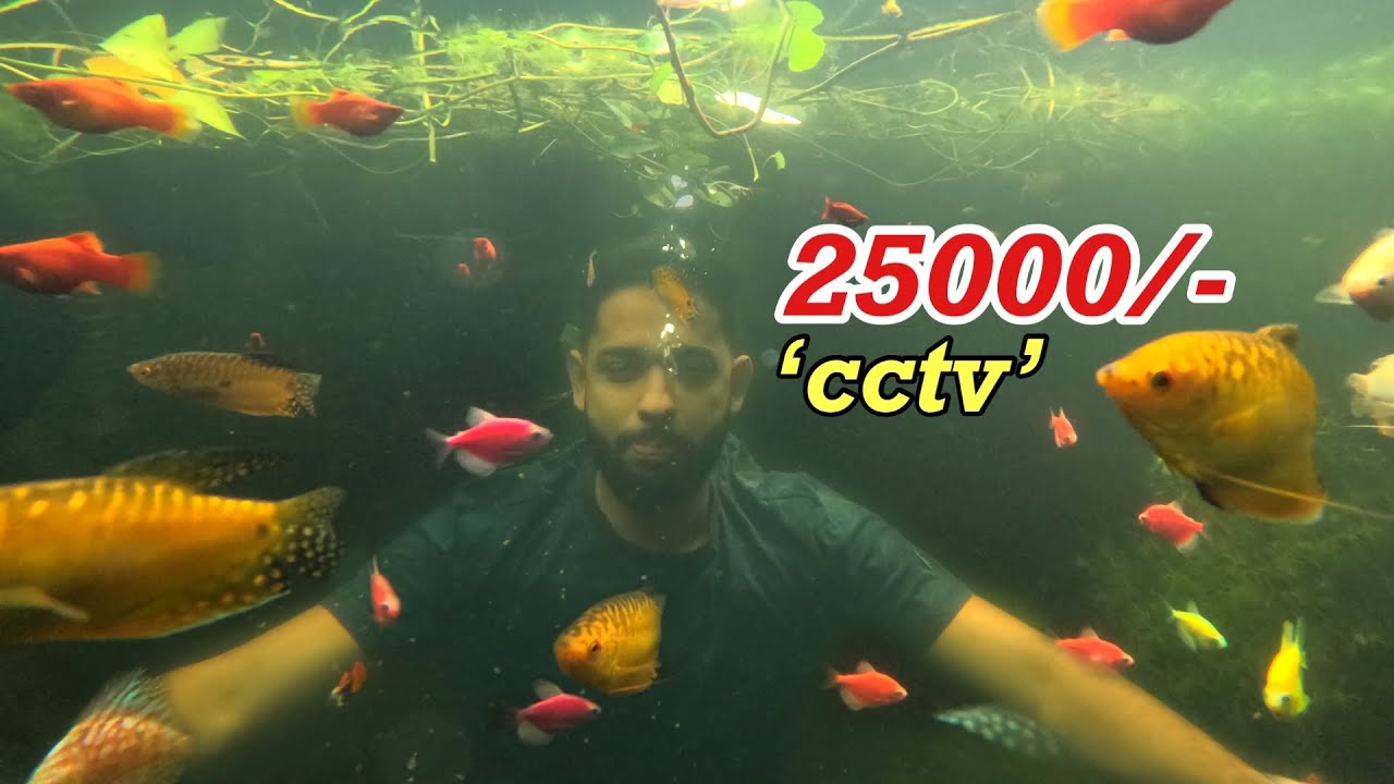 കുളത്തിനടിയിൽ 25000/- രൂപക്ക്‌ Cctv വച്ചു!! | Underwater CCTV installation