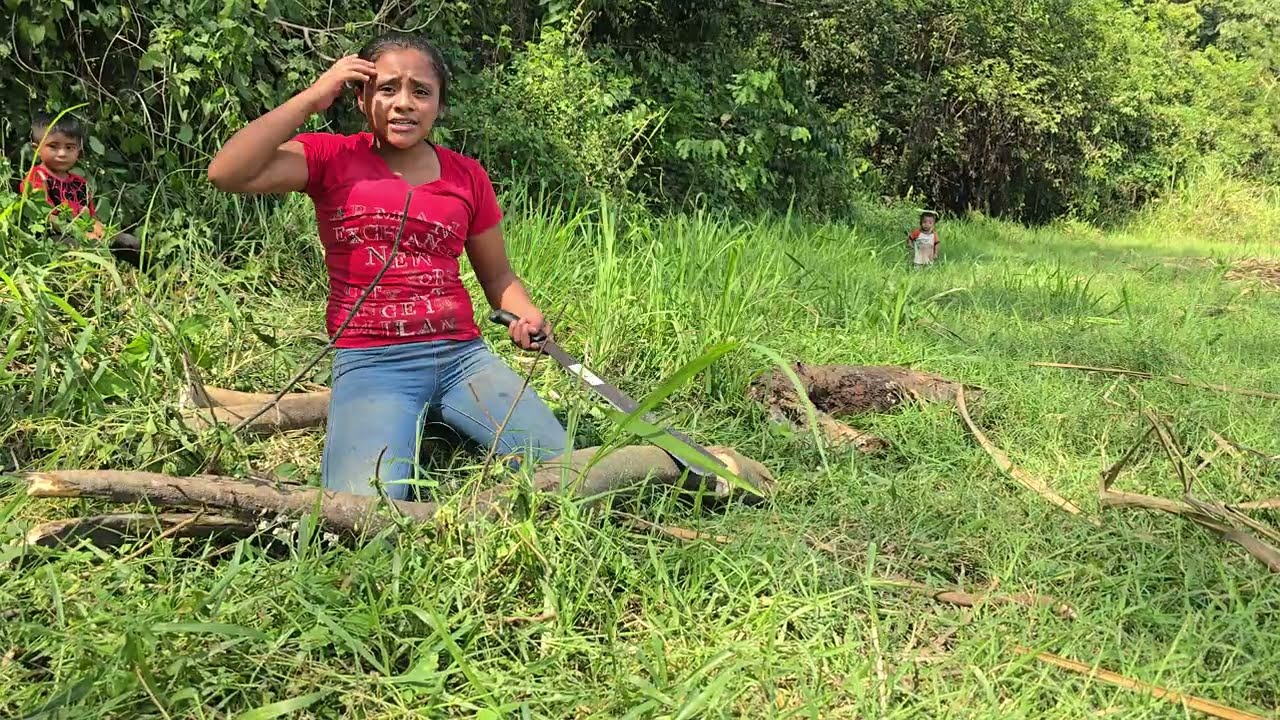 Crican a Brenda Que Es Una Aragan, Te Dejara Con la Boca Abierta