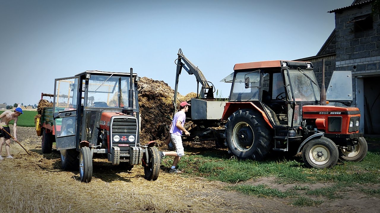 Młodzi w Akcji ! Czyli Obornik i Orka ! Wakacyjne Wspomnienia 2x Massey Ferguson 255 & 3060