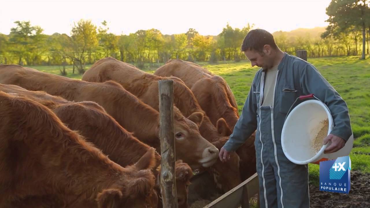 72 Reportage EARL DE LA TURPINIERE