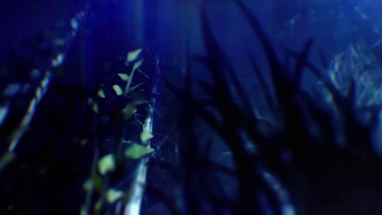 Black ops 3