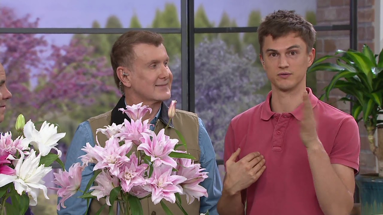 Roberta's 6-Piece Roberta Oriental Roselily on QVC