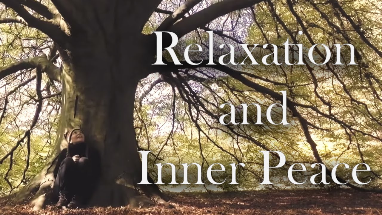 An Autumn walk with Julia Sawalha for relaxation and inner peace