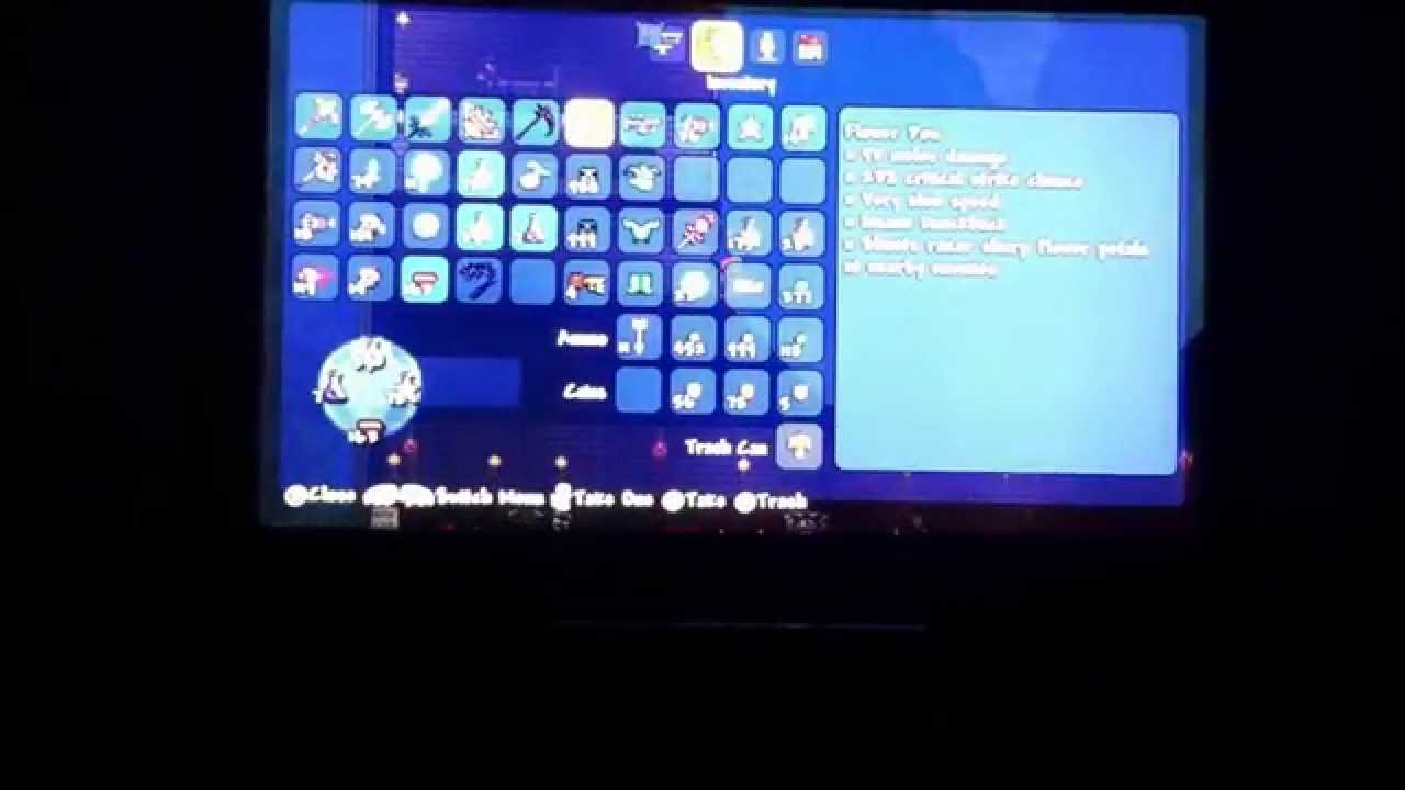 Terraria review flower pow