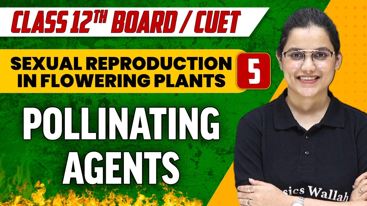 Sexual Reproduction in Flowering Plants 05 | Pollinating Agents | Class 12th/CUET