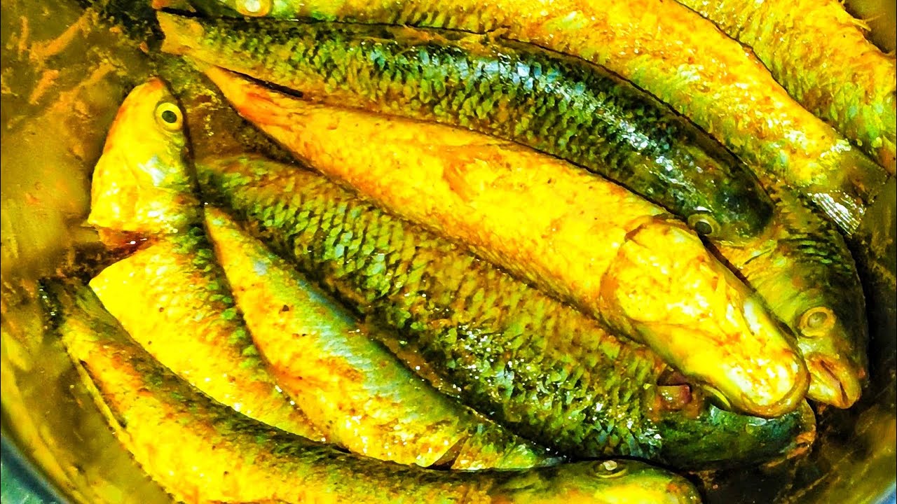 Masala fish curry | मसाला फिश करी कैसे बनाएं |Village style fish curry 🤤