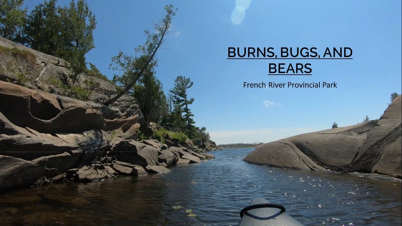 Burns, Bugs, and Bears - French River Provincial Park
