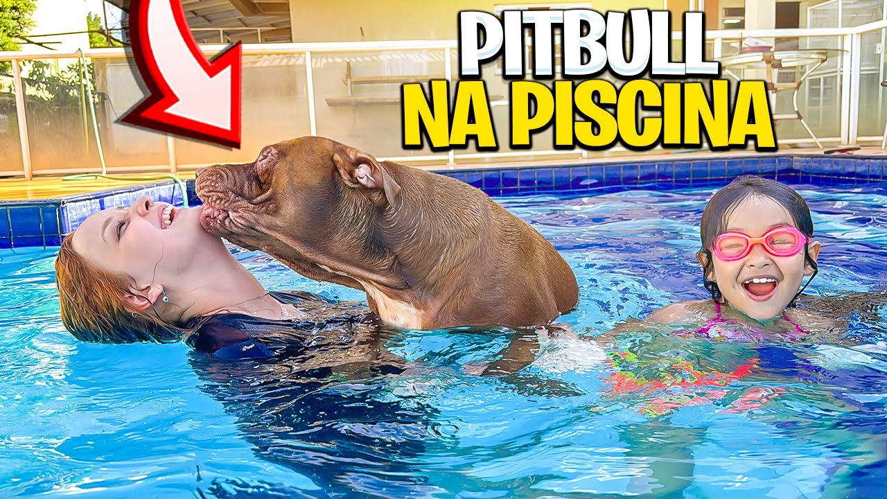 NÃO ACREDITO QUE MEU CACHORRO FEZ ISSO DENTRO DA PISCINA 😅