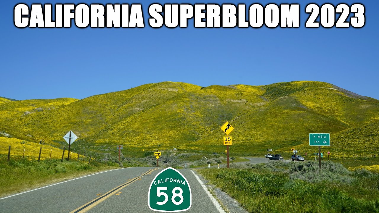 California Highway 58 East Across the Carrizo Plain and Temblor Range | California Superbloom 2023