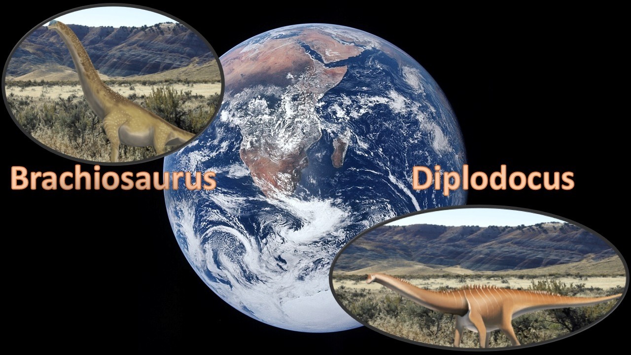 Meet Brachiosaurus and Diplodocus