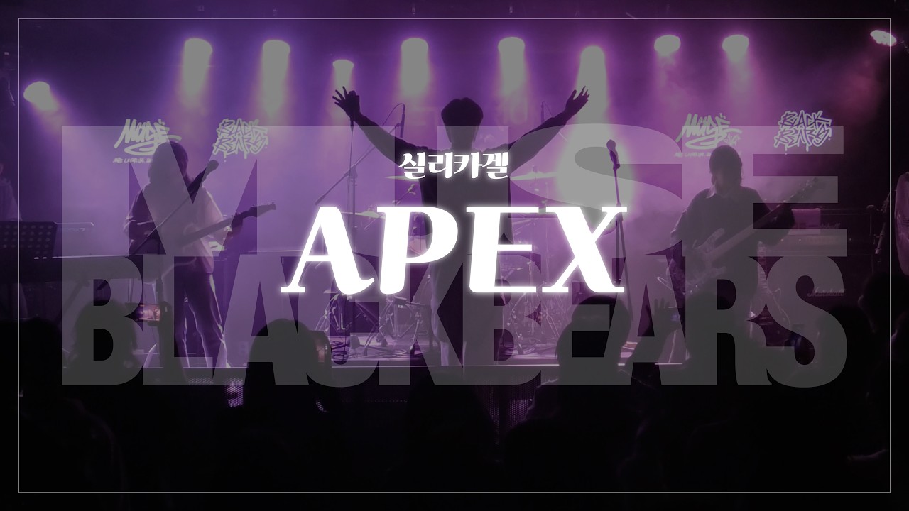 [뮤즈X블랙베어즈 연합공연] 실리카겔 - APEX