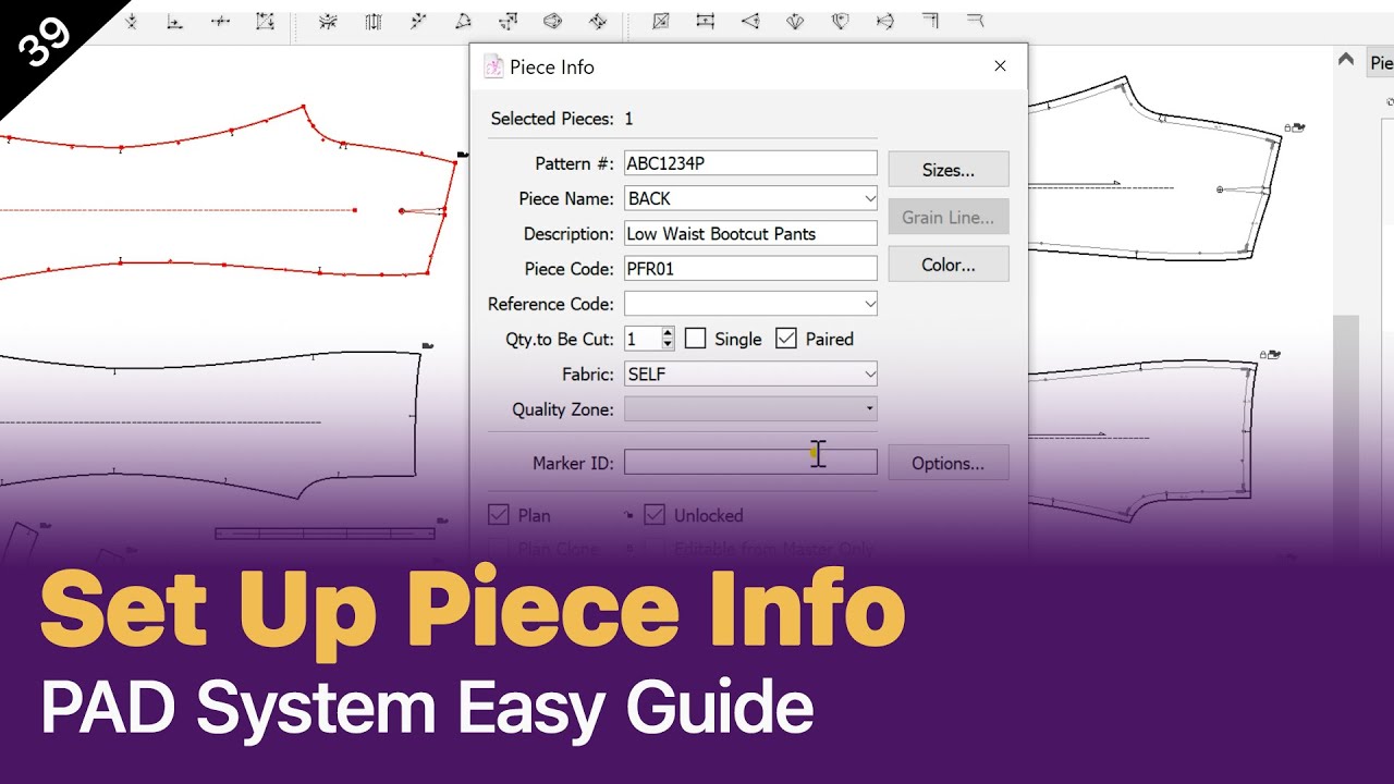 How to Optimize Your PAD System Workflow with Proper Piece Info Setup [PAD system Tutorial]