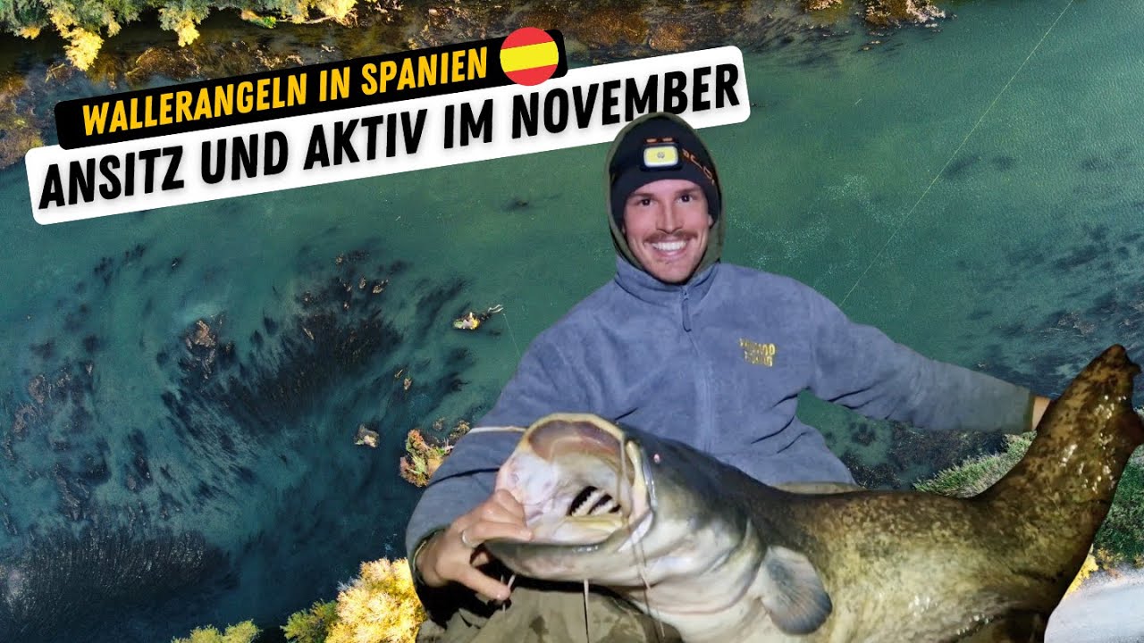 Wallerangeln in Spanien im November I Monster-Waller aus Mequinenza