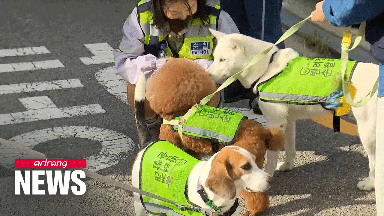Seoul City and police launch pet patrol program where pets and pet owners watch over their community