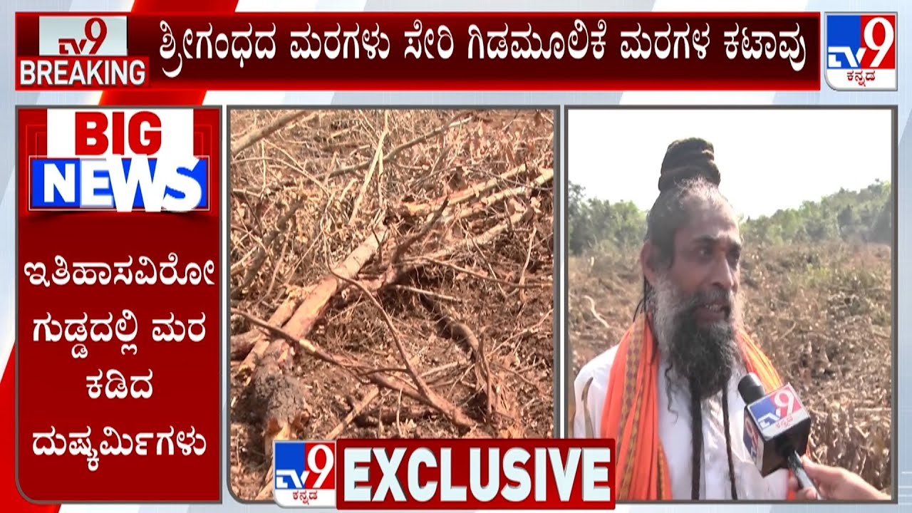 Belagavi Tree Cut: ಸೋಲಾರ್ ಪ್ಲಾಂಟ್ ಹೆಸರಿನಲ್ಲಿ ಇತಿಹಾಸವಿರೋ ಗುಡ್ಡದಲ್ಲಿ ಮರ ಕಡಿದ ದುಷ್ಕರ್ಮಿಗಳು