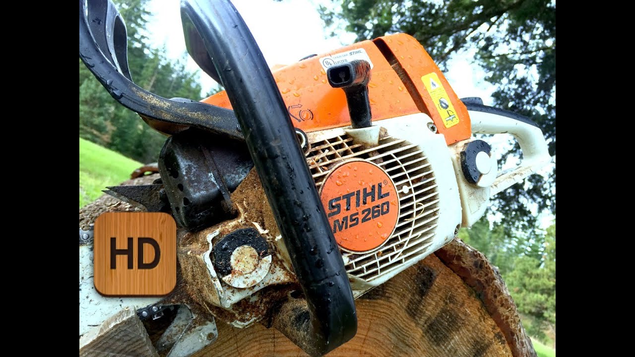 What Chainsaw Is Right For You?