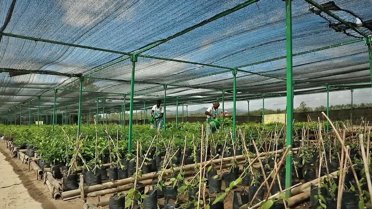 🌾 Appui aux Producteurs Ruraux à Madagascar par Sahanala