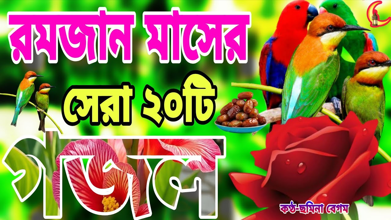 রমজানের মাসের সেরা ২০টি গজল।Romjaner Gojol। Bangla Gojol 2026।গুনাহ মাফের এইতো সুযোগ 