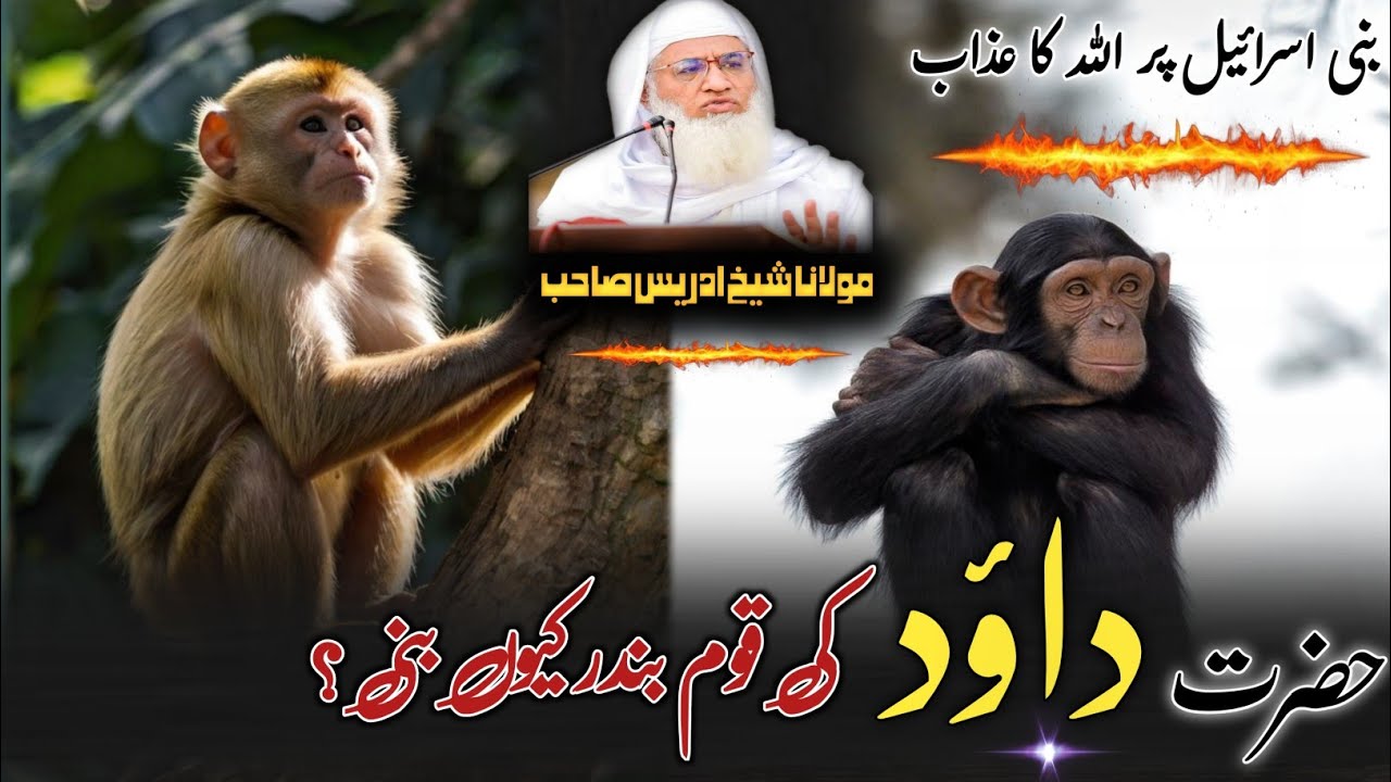 Pushto Byan | Molana Shikh Idres Sab |حضرت داؤد علیہ السّلام کی قوم بندر کیوں بنی؟| سبق آموز واقعہ