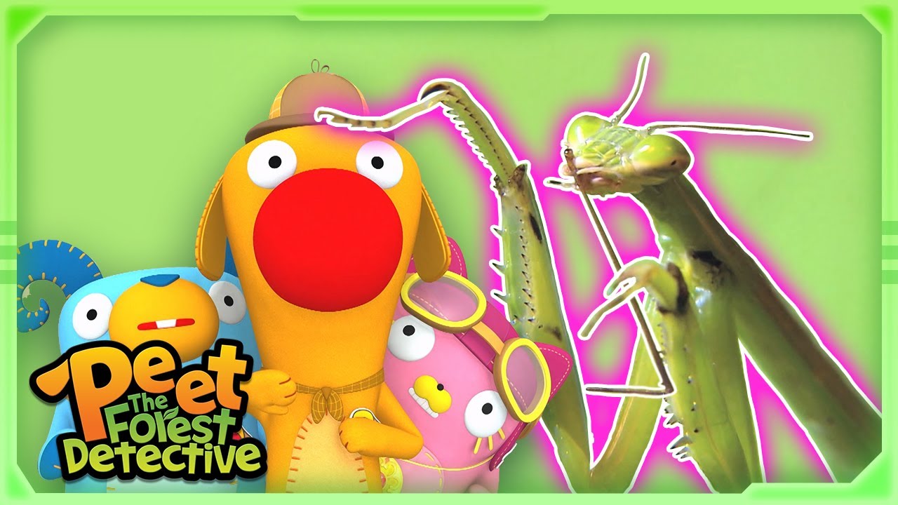 Save the Drowning Mantis! 🦗🌊 | Full Episode | Cartoons for Kids | Peet The Forest Detective