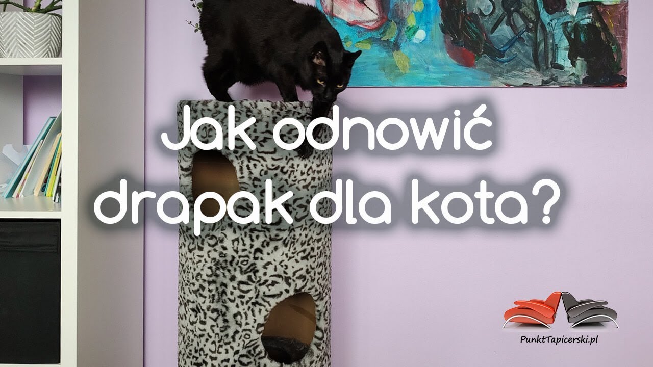 Drapak dla kota - RENOWACJA - Pracownia Lady Stump