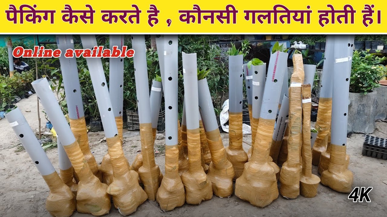 पैकिंग कैसे करते है , कौनसी गलतियां होती है ।