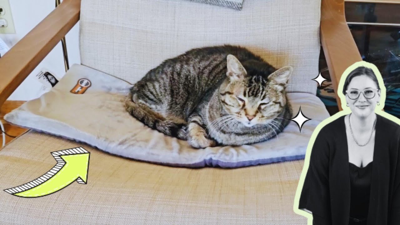 K&H Thermo-Kitty Mat Review: My Cat's New Favorite Heated Bed!