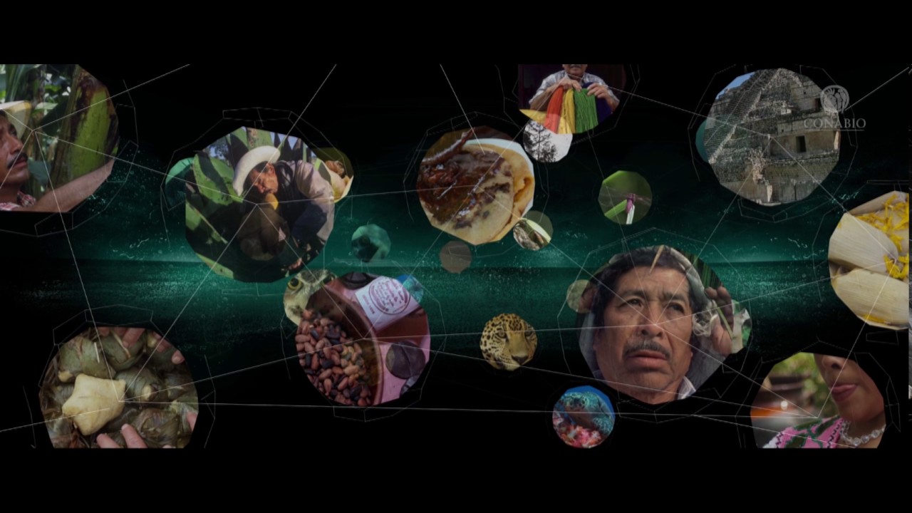 Somos polvo de estrellas