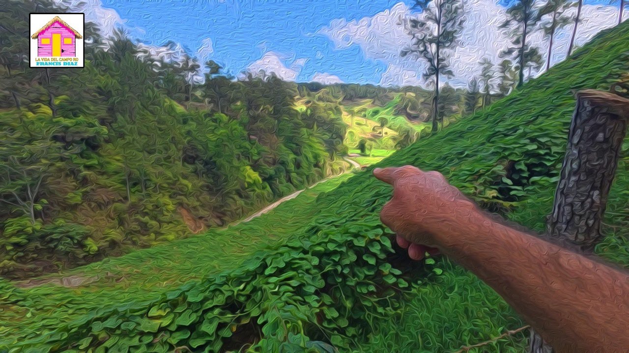 DEJARON LA CIUDAD PARA DEDICARSE AL CAMPO