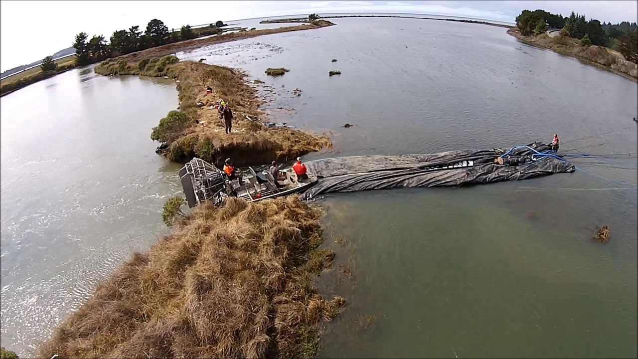 Humboldt Bay Levee Plug Full Project