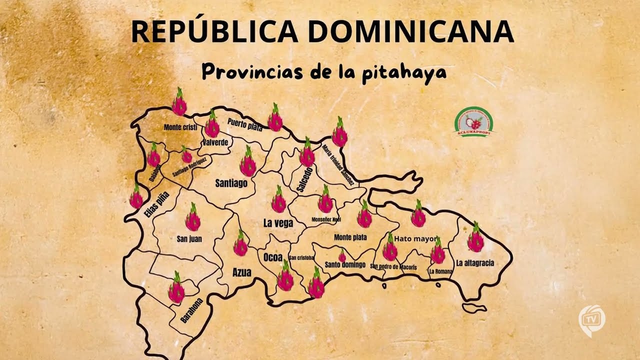 ProDominicana TV - Pitahaya