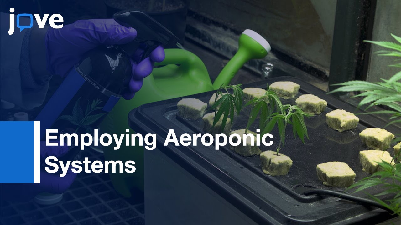 Employing Aeroponic Systems: Clonal Propagation-Cannabis l Protocol Preview