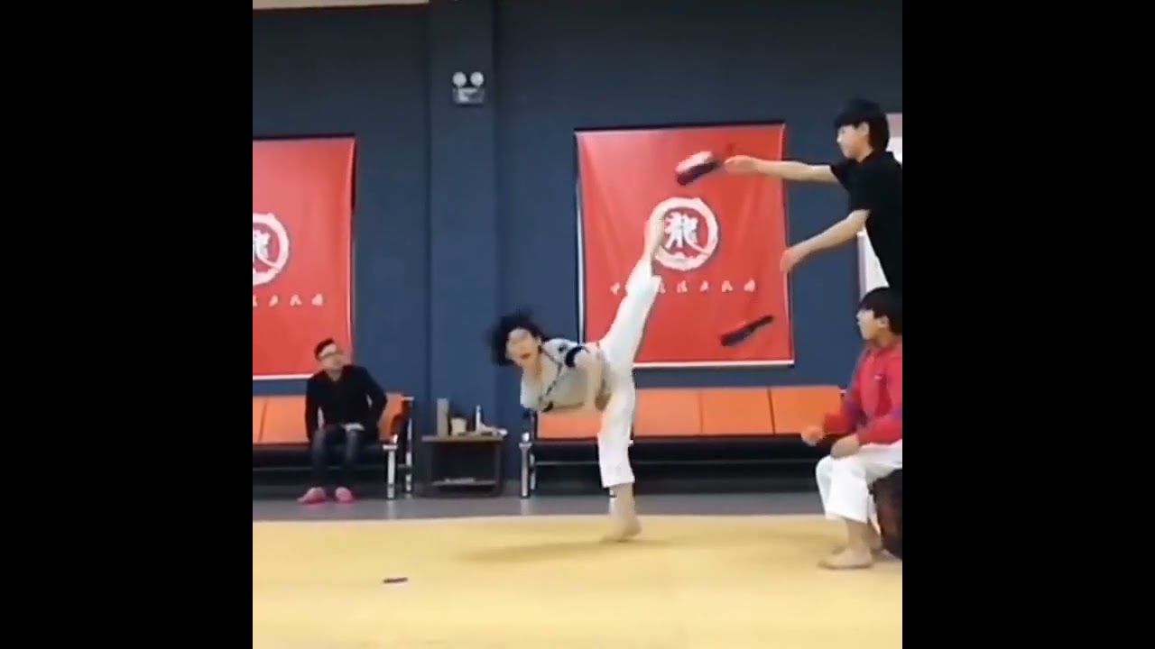 taekwondo kick collection