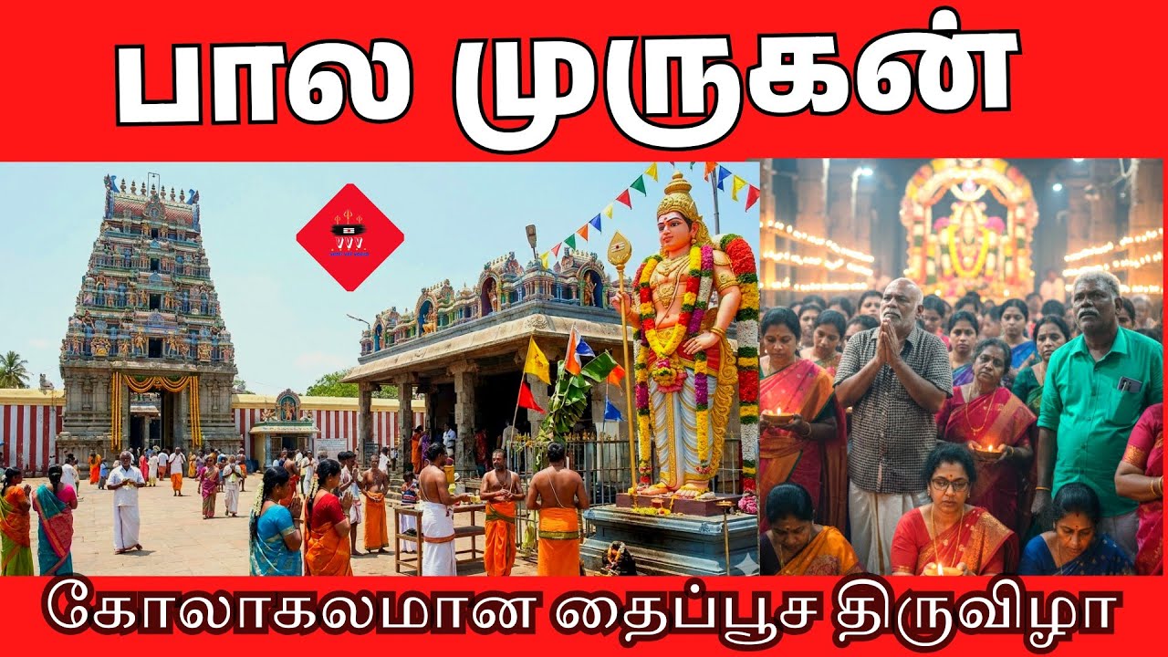 ⚜️தைப்பூசம் முருகனுக்கு ⚜️🙏அரோகரா|பால் அபிஷேகம் ஆராதனை சிறப்பு பூஜை|ஸ்ரீ பாலமுருகன் கோவிலில் 🦚 