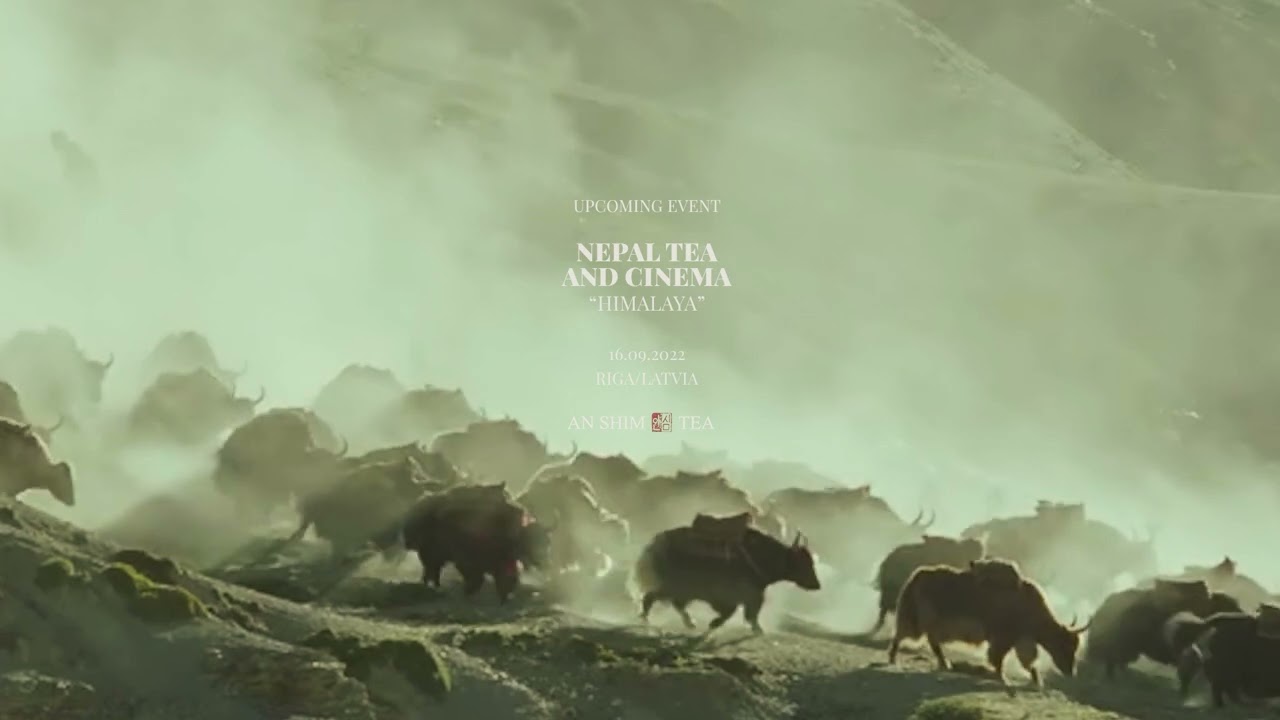 Himalaya. 1999. Nepal Tea and Cinema by AN SHIM TEA