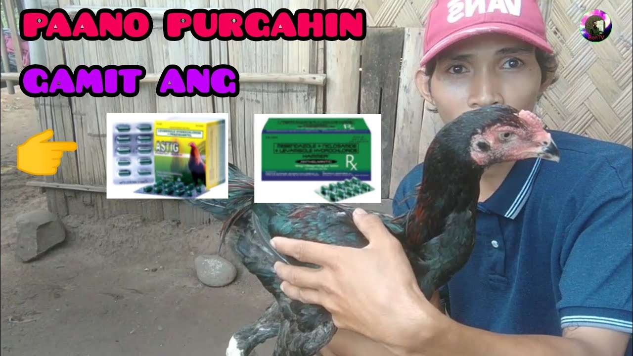 PAANO MAGPURGA NG MANOK RonTV