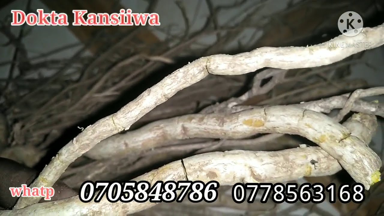 GEZZA EMBOLO MUBWANGU BY KANSIIWA STORE