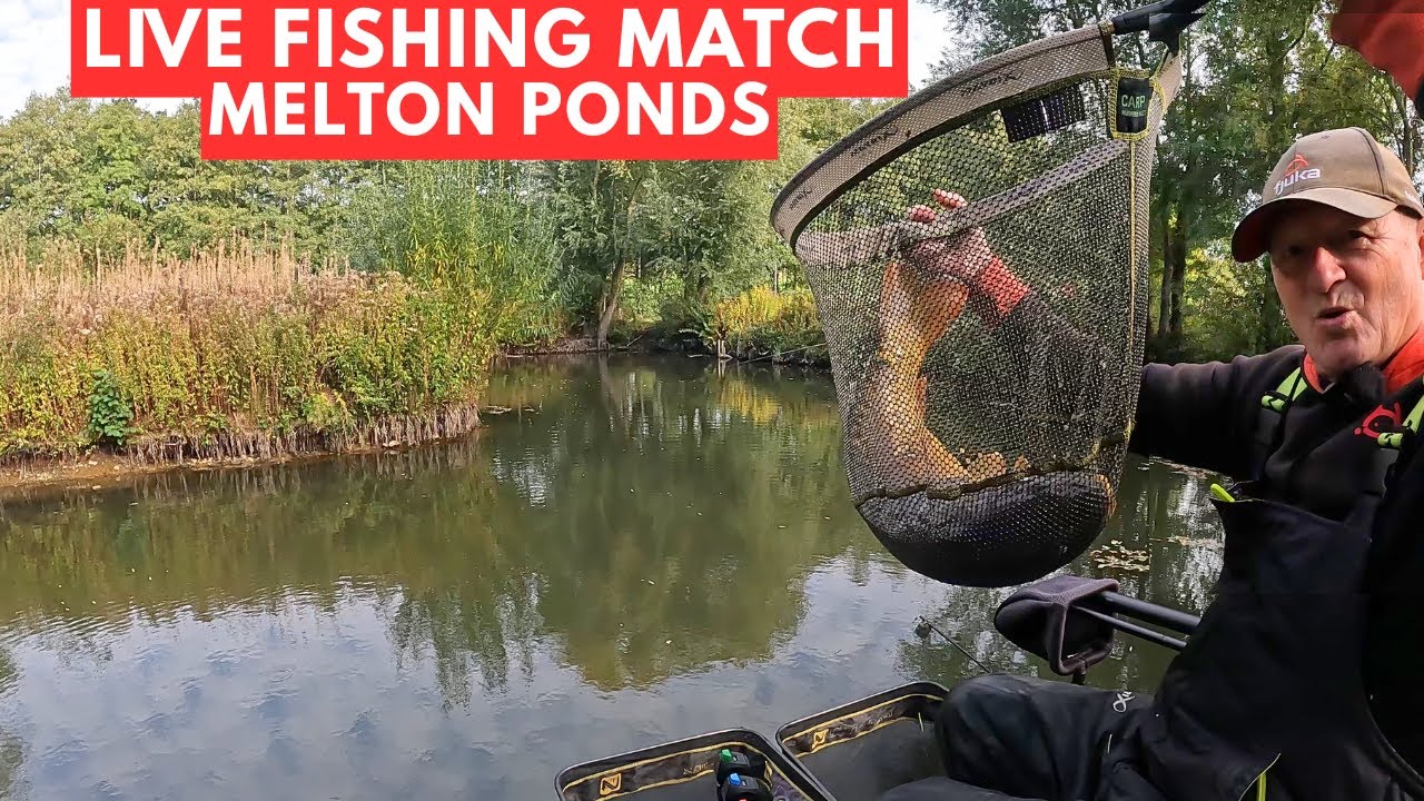 Рыбалка вживую на прудах Мелтон NR9 5HW, #matchfishinguk
