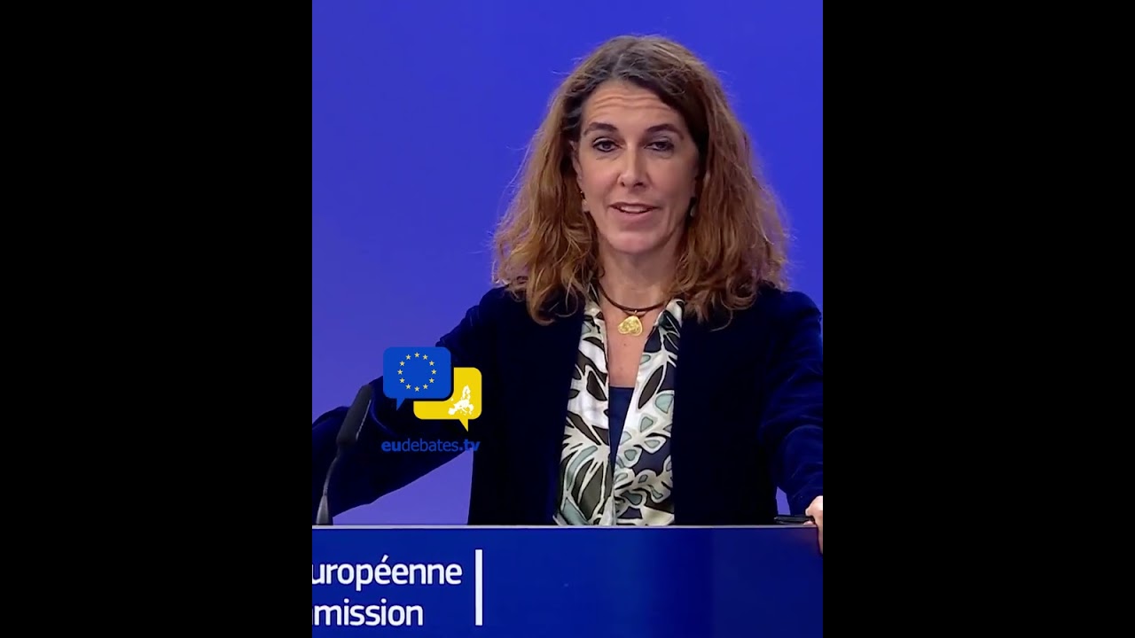 This Is Not Censorship! EU Fires Back at US Critics &mdash; We Agree to Disagree