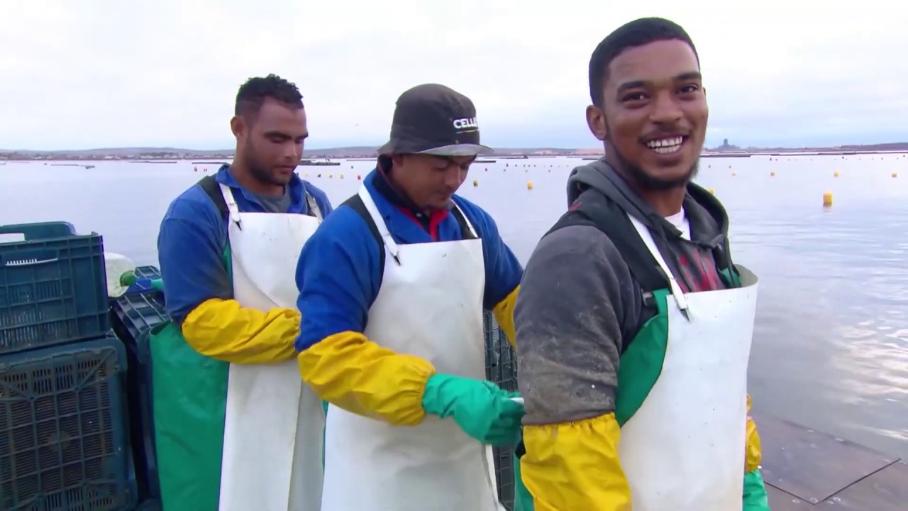 Dutch celebrity chef Rene Pluijm visits Fish for Good South Africa’s wild mussel fishery | MSC