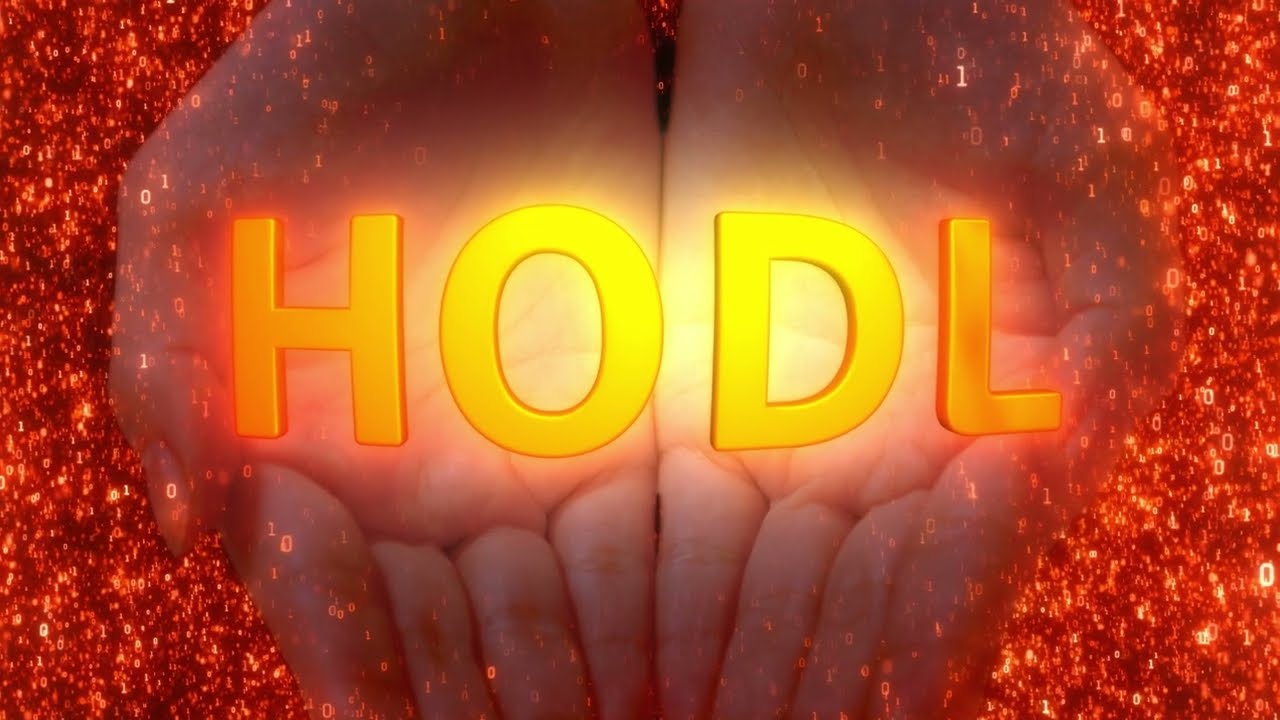 What Is HODL  The True meaning  Valutaen