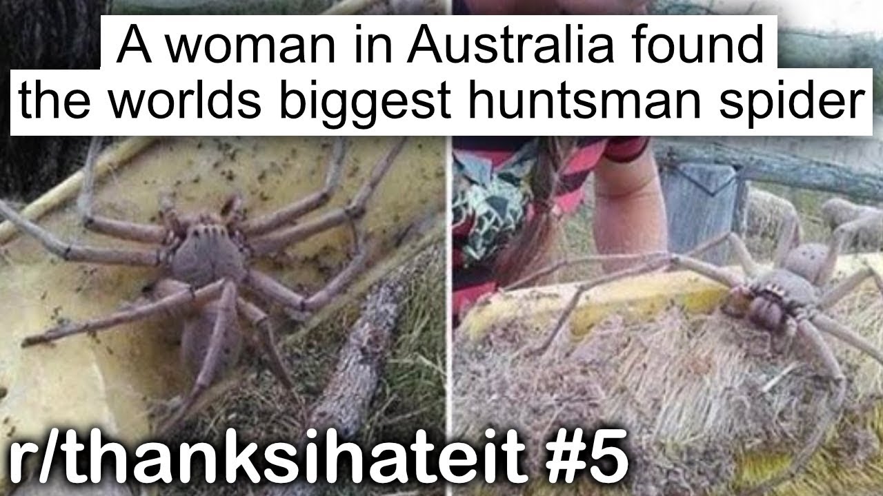 r/thanksihateit Best Posts #4